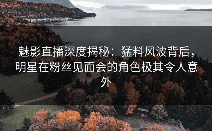 魅影直播深度揭秘：猛料风波背后，明星在粉丝见面会的角色极其令人意外