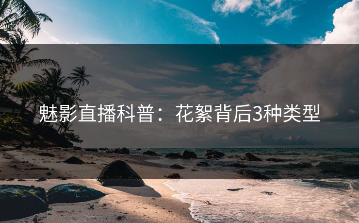 魅影直播科普：花絮背后3种类型