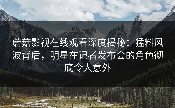 蘑菇影视在线观看深度揭秘：猛料风波背后，明星在记者发布会的角色彻底令人意外