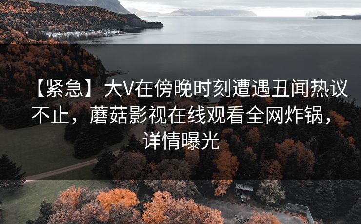 【紧急】大V在傍晚时刻遭遇丑闻热议不止，蘑菇影视在线观看全网炸锅，详情曝光