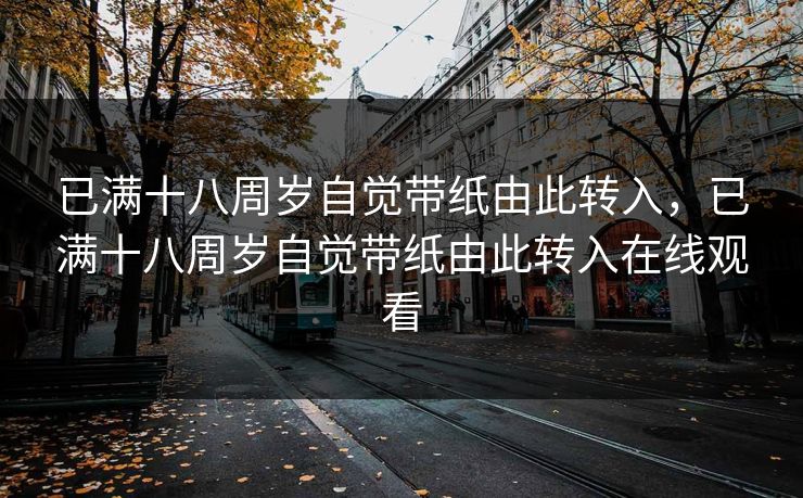 已满十八周岁自觉带纸由此转入，已满十八周岁自觉带纸由此转入在线观看